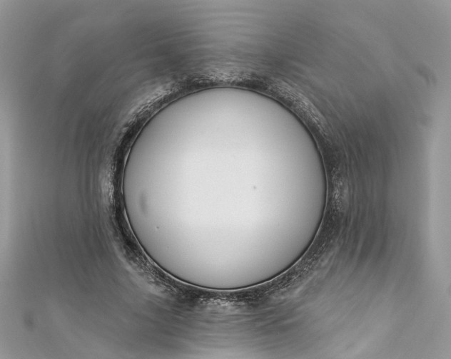 X0000112820635200909041515