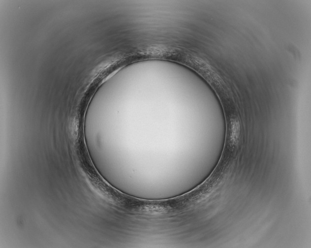 X0000112820636200909041515