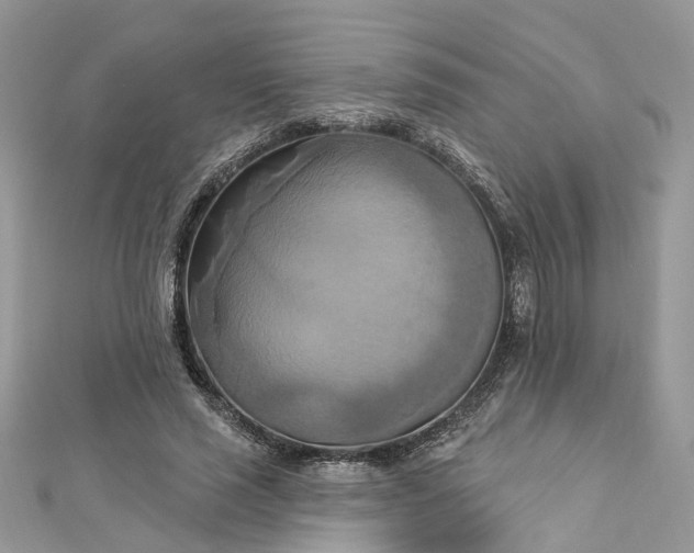 X0000112820637200909041515