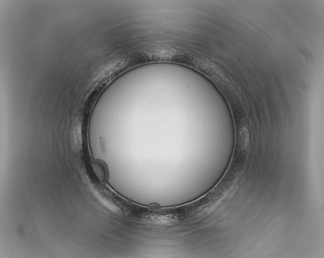 X0000112820638200909041515