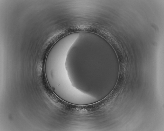 X0000112820640200909041515