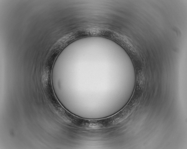 X0000112820645200909041516