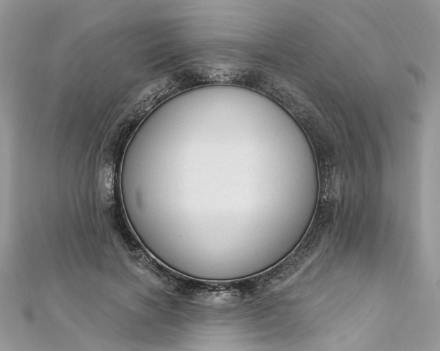 X0000112820646200909041516