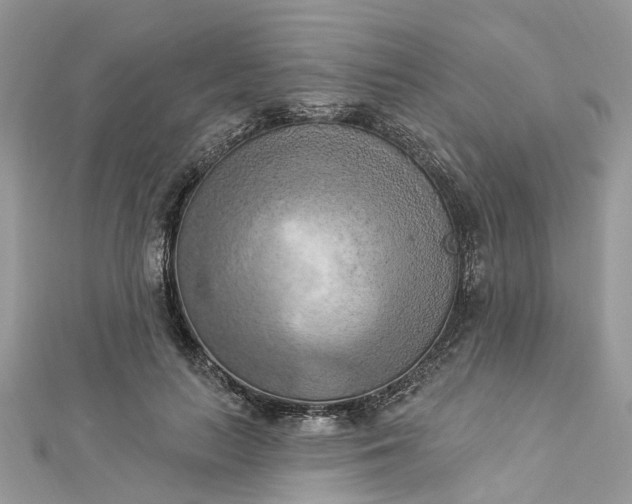 X0000112820647200909041516