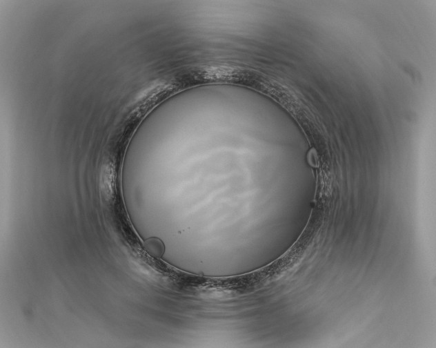 X0000112820648200909041516