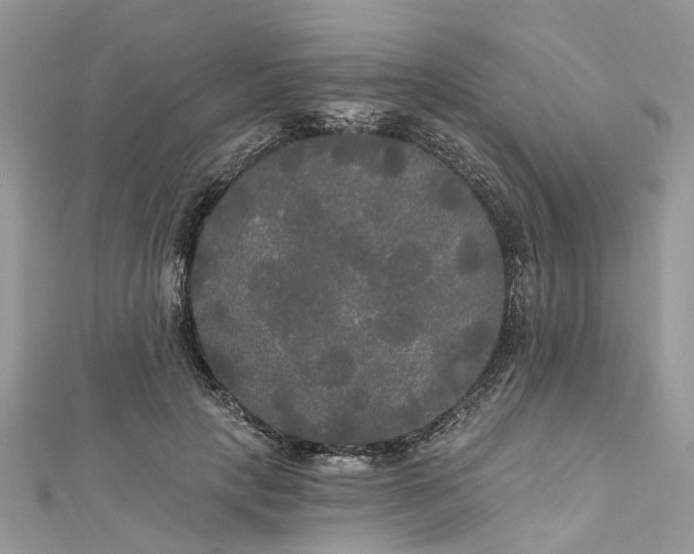 X0000112820649200909041516