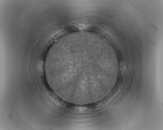 X0000112820650200909041516