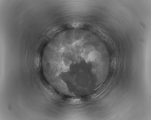 X0000112820651200909041516