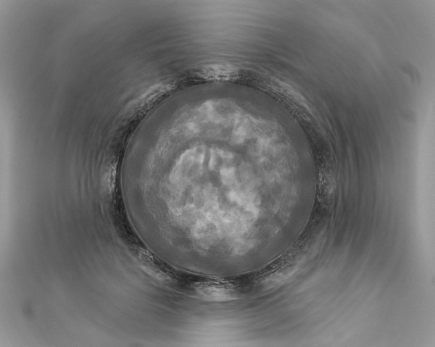 X0000112820652200909041516