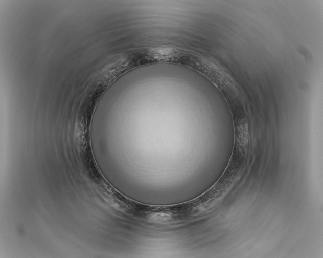 X0000112820653200909041516