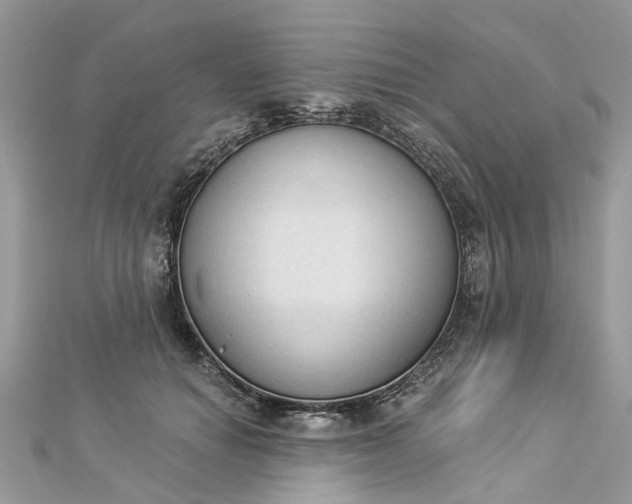 X0000112820654200909041516