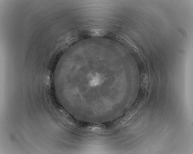 X0000112820655200909041516