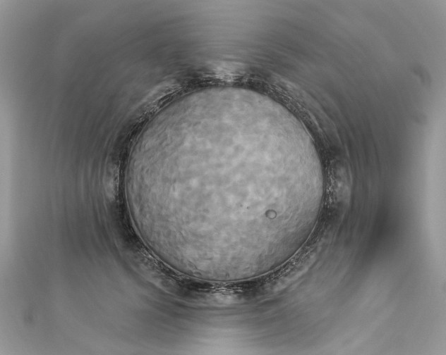 X0000112820656200909041516