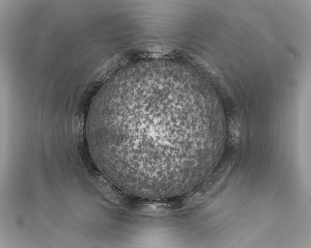 X0000112820657200909041516