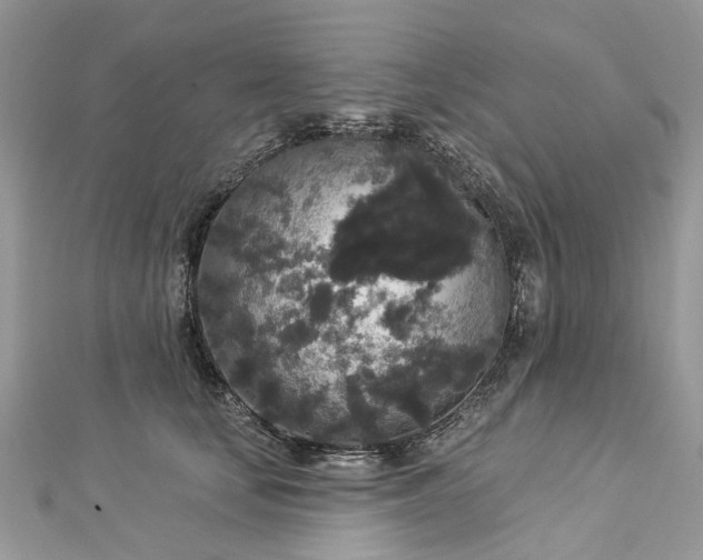 X0000112820659200909041516