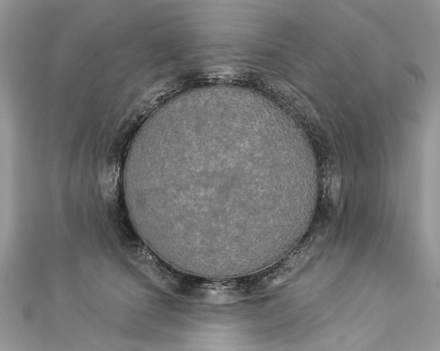 X0000112820660200909041516