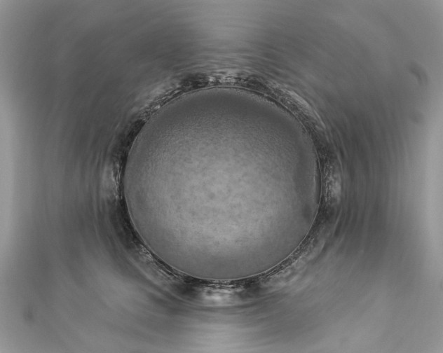 X0000112820661200909041516