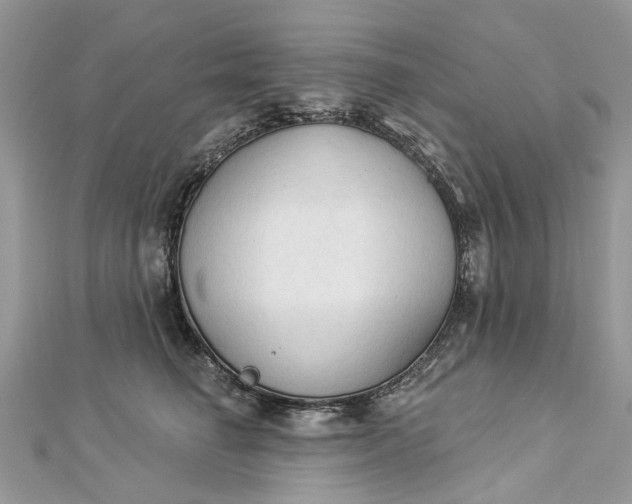 X0000112820662200909041516