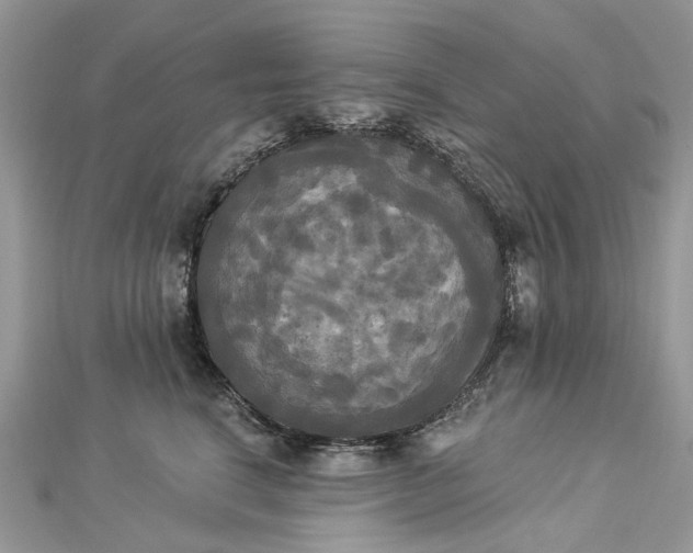 X0000112820664200909041516