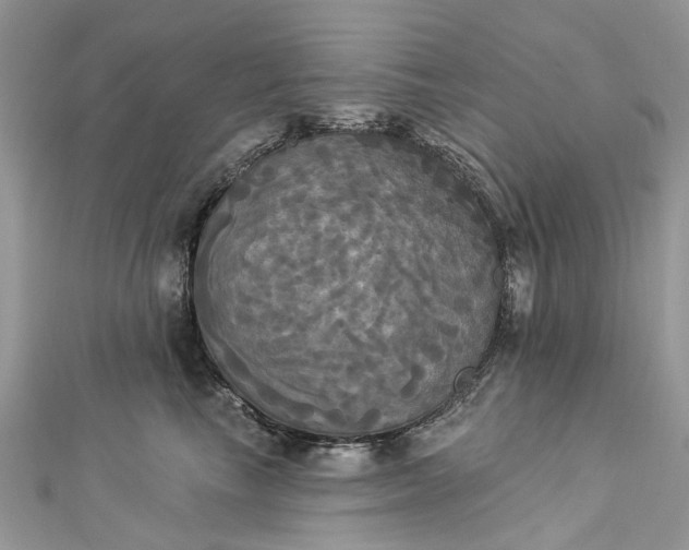 X0000112820665200909041516