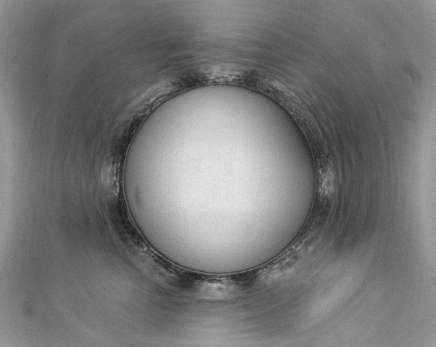 X0000112820666200909041516