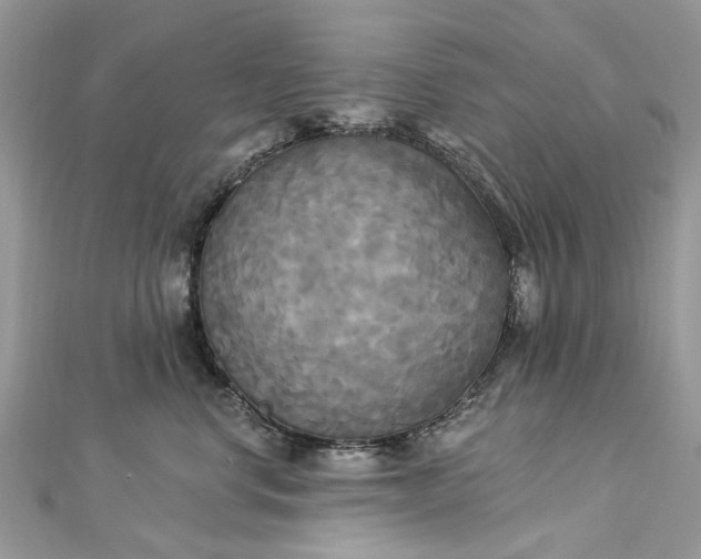 X0000112820668200909041516