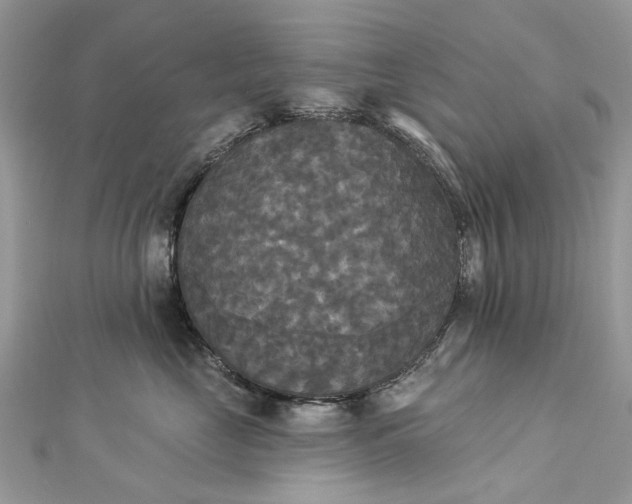 X0000112820669200909041516