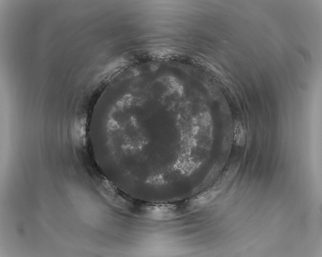 X0000112820670200909041516