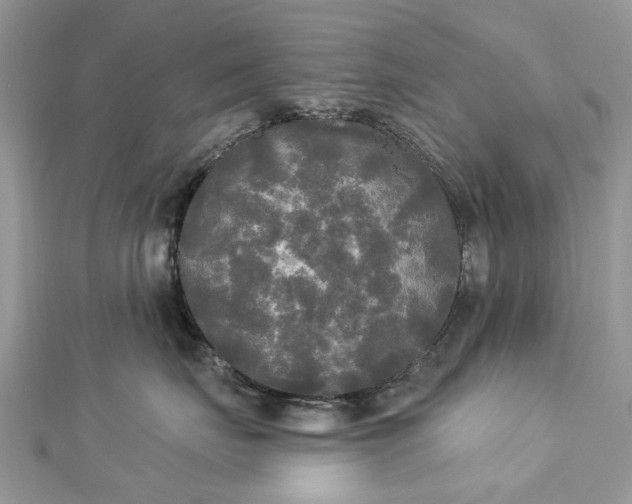 X0000112820671200909041516