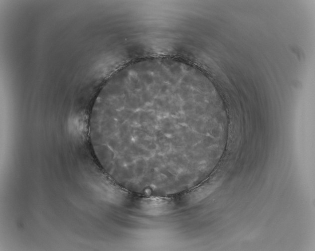 X0000112820672200909041516