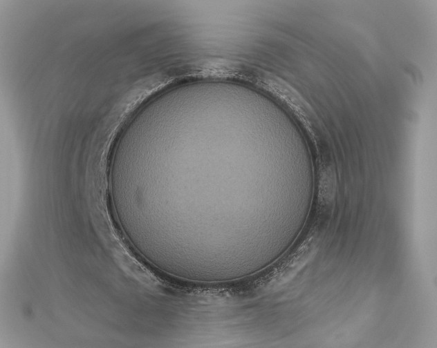 X0000112820673200909041515