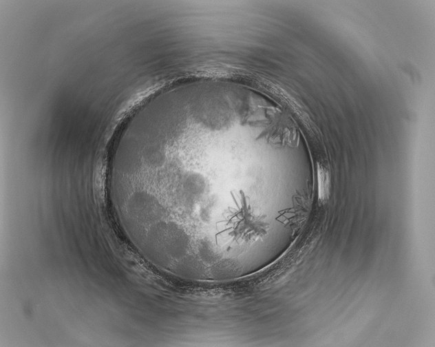 X0000112820675200909041515