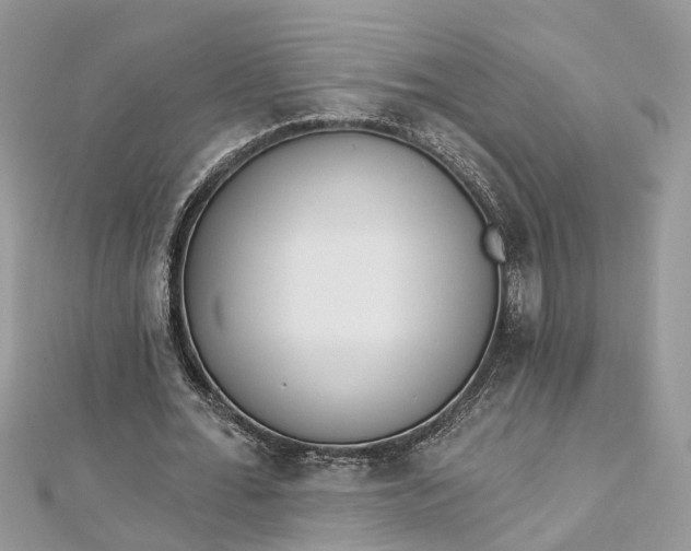 X0000112820676200909041515