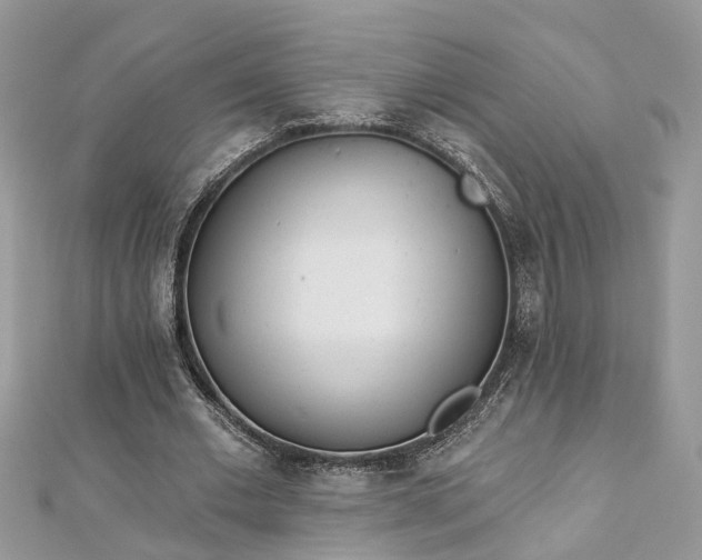 X0000112820677200909041515