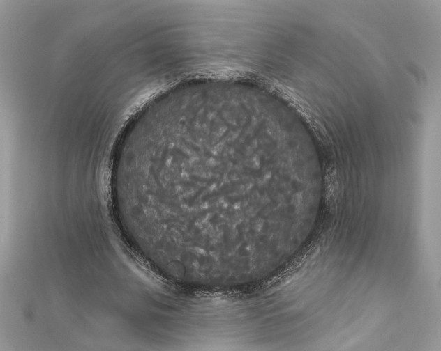 X0000112820679200909041515