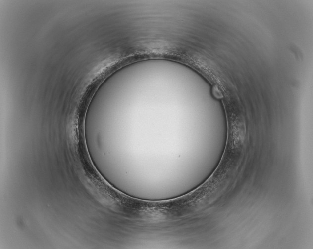 X0000112820680200909041515