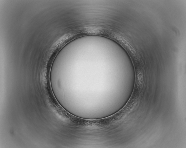 X0000112820682200909041515