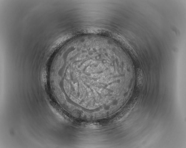 X0000112820683200909041515