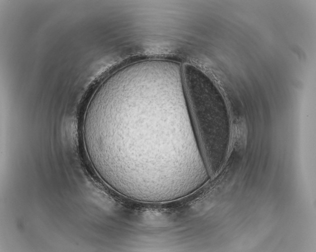 X0000112820684200909041515