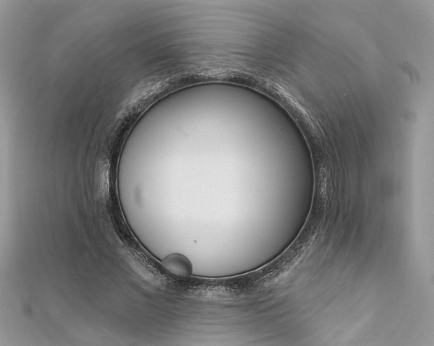 X0000112820685200909041515