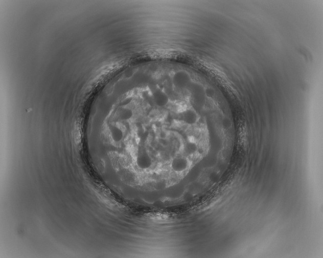 X0000112820687200909041515