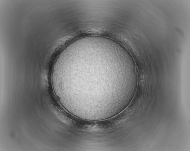 X0000112820688200909041515