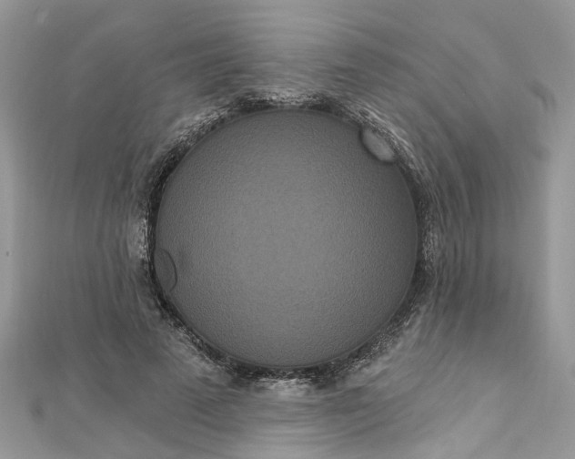 X0000112820689200909041515