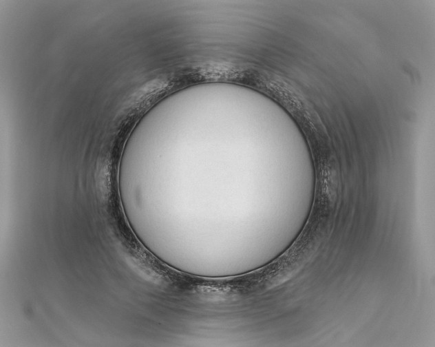 X0000112820690200909041515