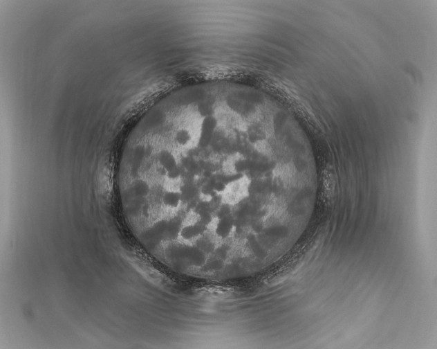 X0000112820691200909041515