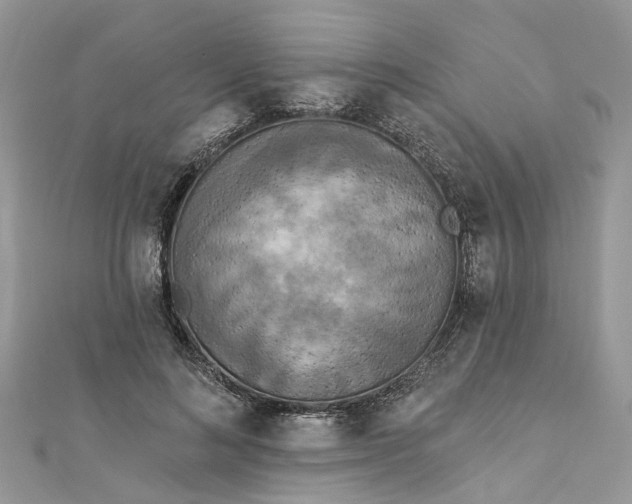 X0000112820692200909041515