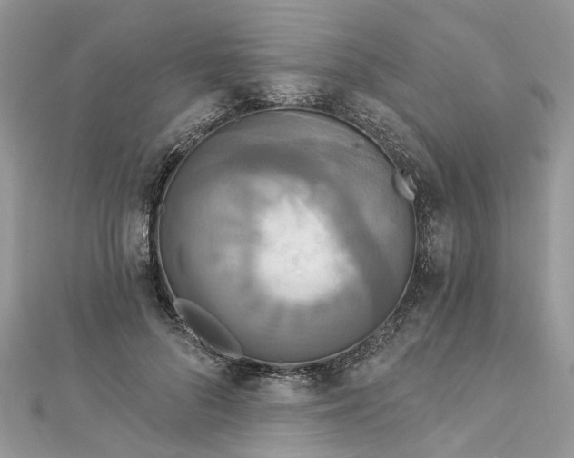 X0000112820696200909041515