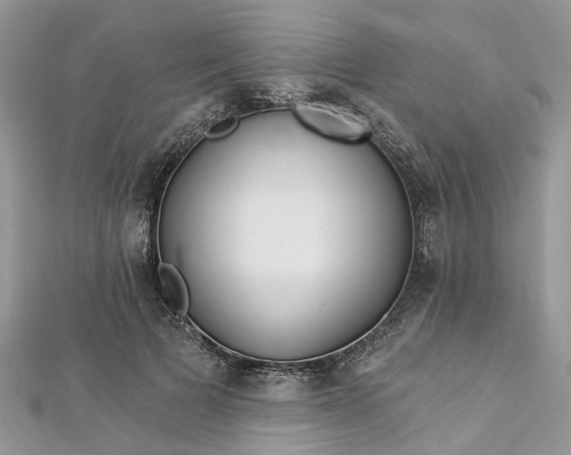 X0000112820697200909041515