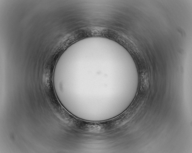 X0000112820698200909041515