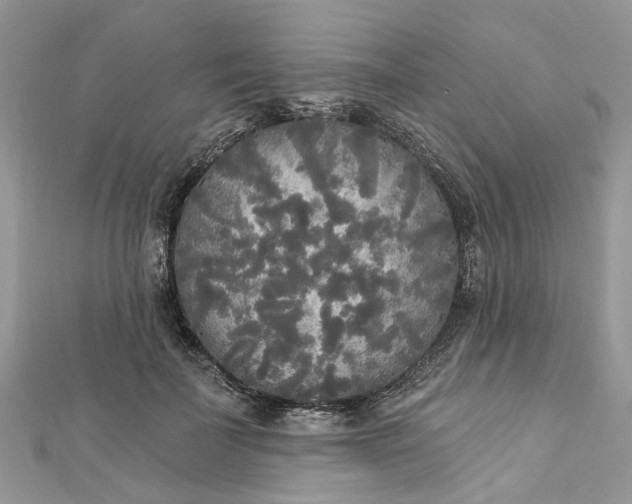 X0000112820699200909041515